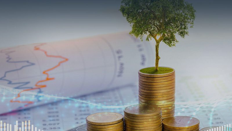 制造业管理咨询公司排名背后的考量因素
